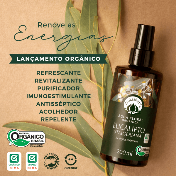 Novidades